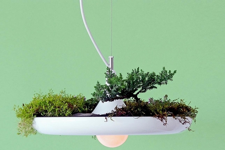 babylon-light-and-planter-1