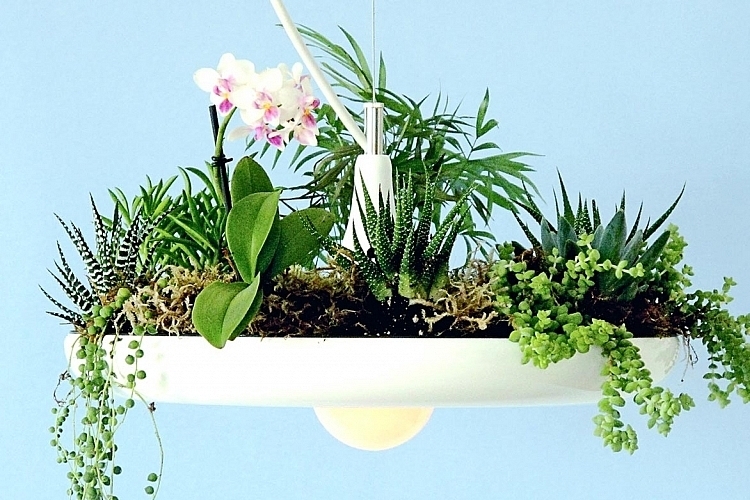 babylon-light-and-planter-4