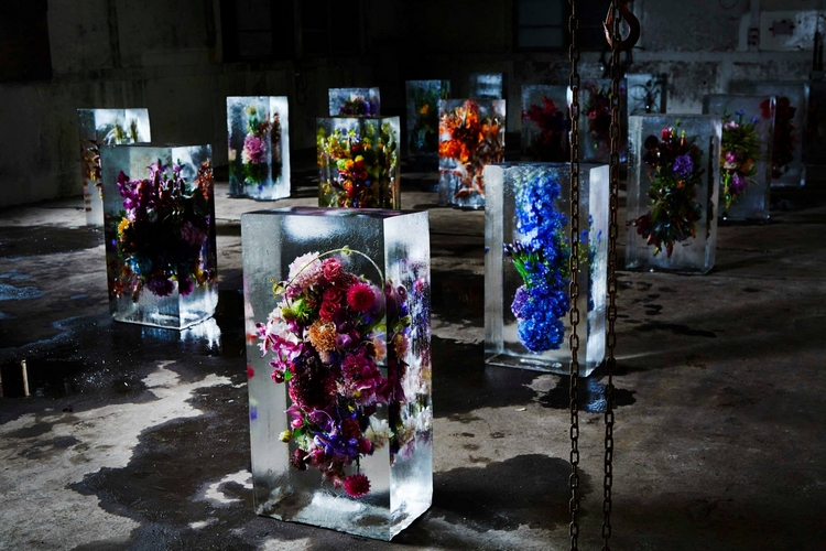 iced-flowers-1